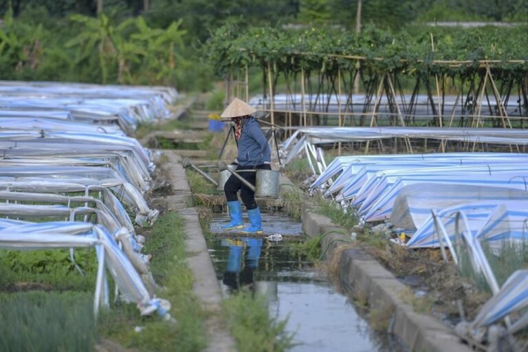 Tái sử dụng nguồn nước thải