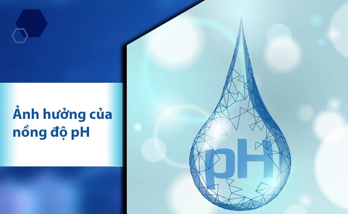 Nồng độ Ph ảnh Hưởng Hệ Thống ống Nước