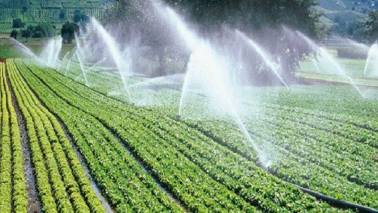 Nước là yếu tố không thể thiếu trong nông nghiệp
