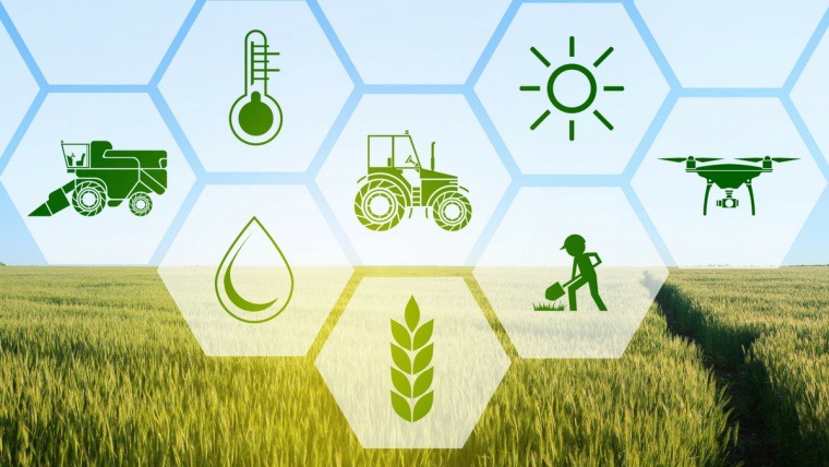 Hướng đến nông nghiệp xanh cũng là giải pháp bảo vệ nguồn nước được khuyên dùng