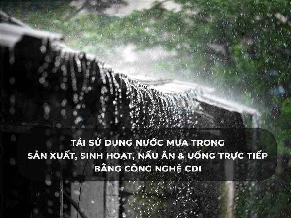 Hình ảnh đại Diện Bài Viết Website