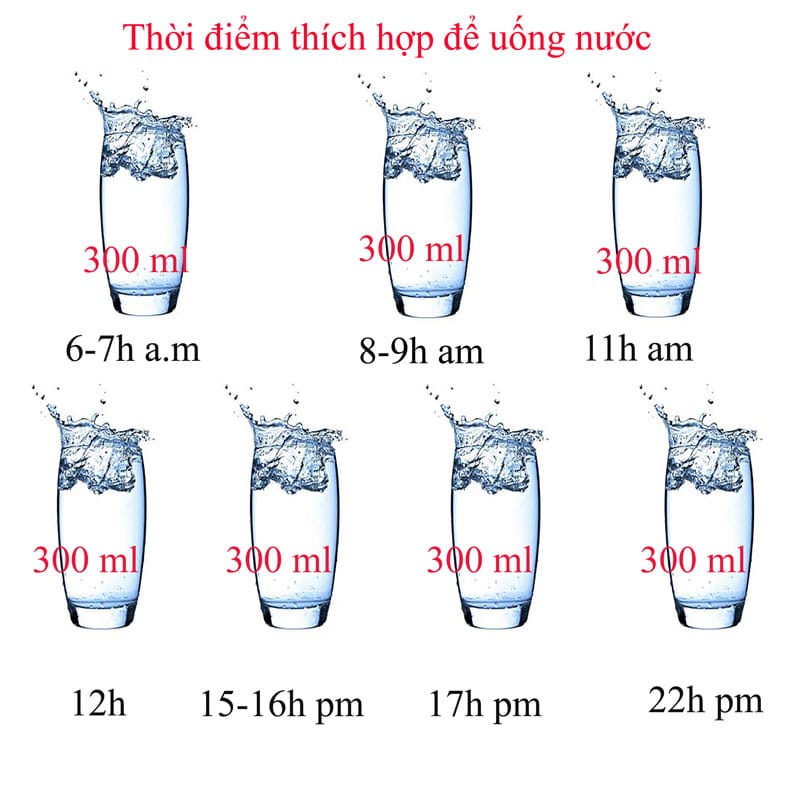 Một số khung giờ “vàng” uống nước hiệu quả bạn có thể áp dụng mỗi ngày
