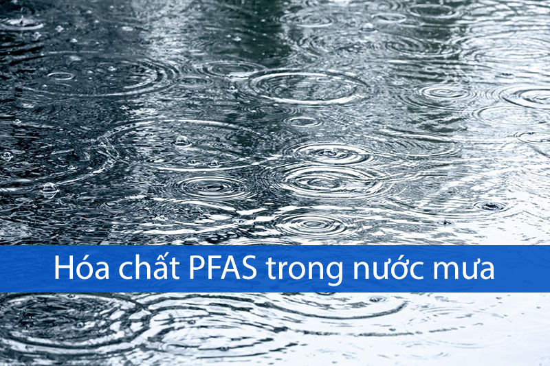 hóa chất PFAS trong nước mưa