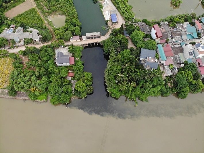 Ô nhiễm nguồn nước tại Kênh Bắc Hưng Hải đang báo động.