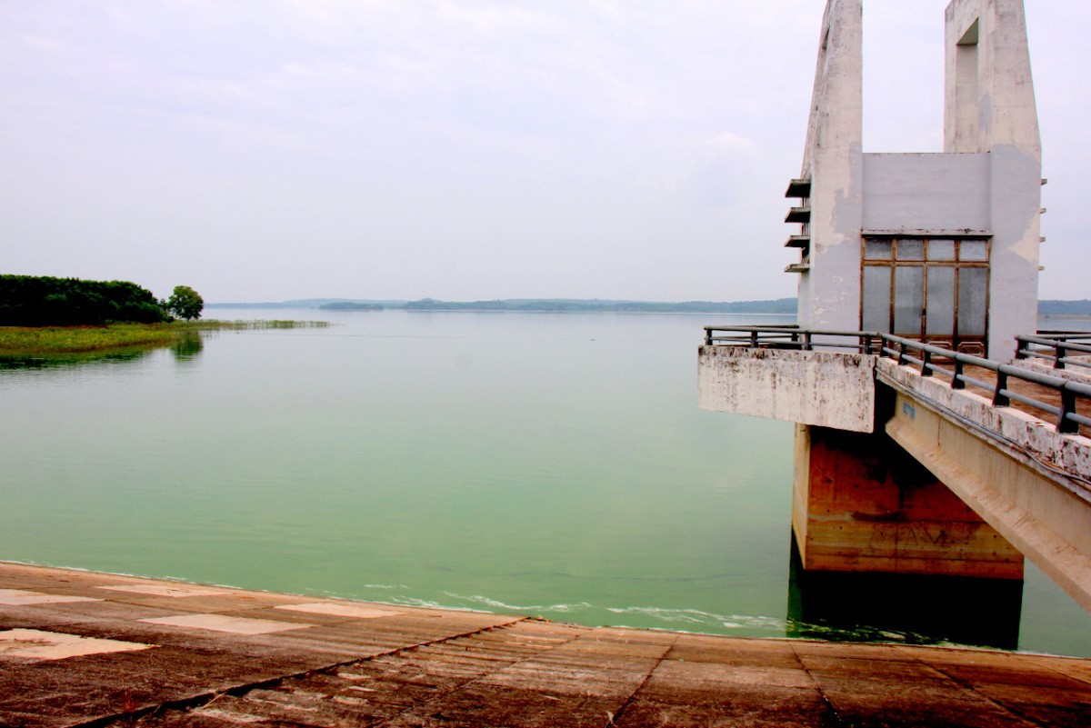 Nước hồ sông Ray, Bà Rịa - Vũng Tàu nổi váng xanh