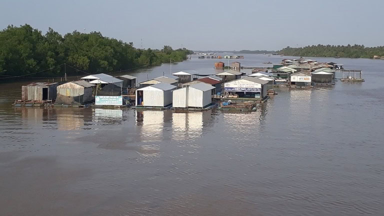 Ngập mặn tại địa bàn tỉnh Bến Tre diễn ra trên diện rộng vào mùa hạn.