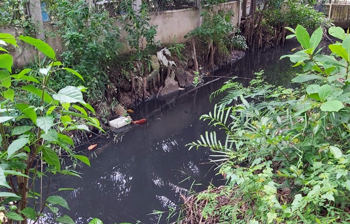Ô nhiễm nguồn nước ở các kênh rạch thành phố Bến Tre.