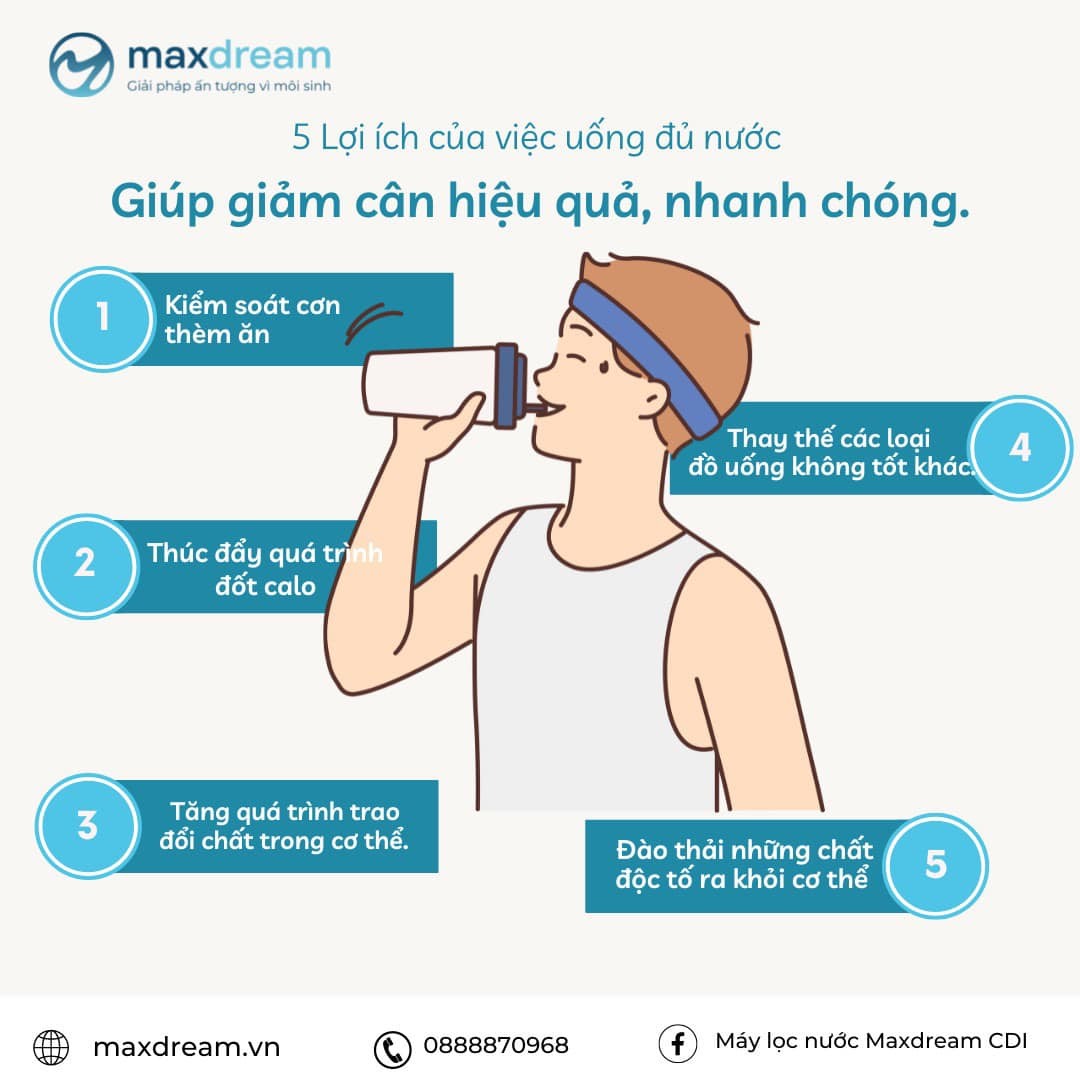 Nước đóng vai trò quan trọng trong việc giảm cân