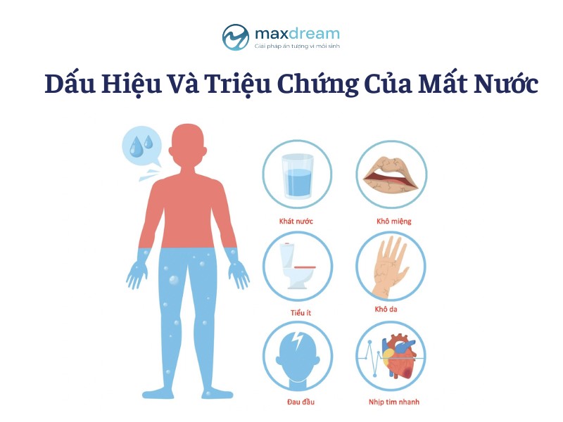 Dấu hiệu cơ thể mất nước