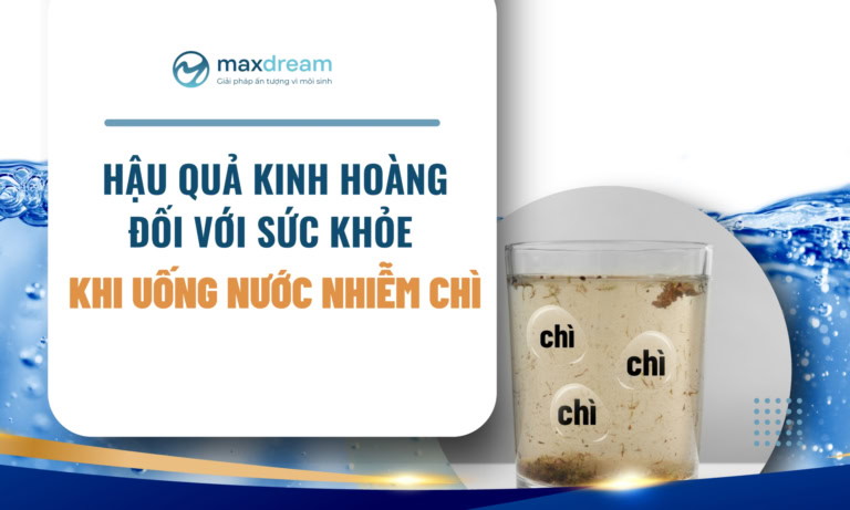 Hậu quả kinh hoàng đối với sức khỏe khi uống nước nhiễm chì 1 website bia chi 1